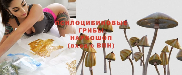 стафф Корсаков