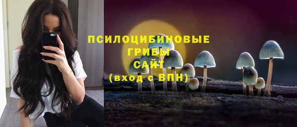 эйфоретик Балахна