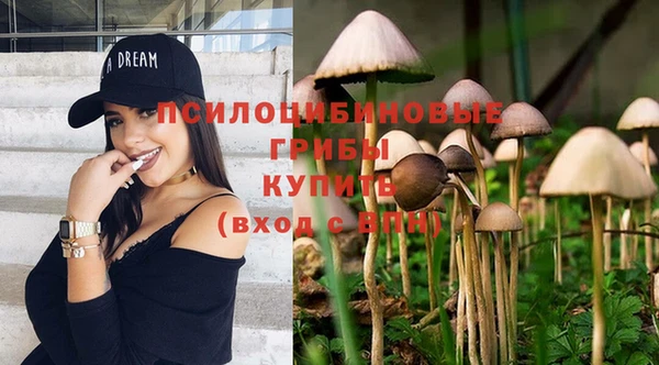 эйфоретик Балахна