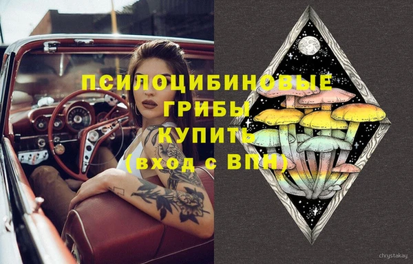 ПСИЛОЦИБИНОВЫЕ ГРИБЫ Армянск